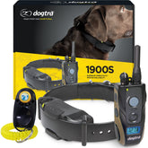Dogtra 1900S remote transmitter for off-leash training and recall confidence.