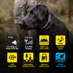 Dogtra 1900X LED light illuminating a dog during training in low light