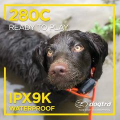 Dogtra 280C withstands rain and splashes for outdoor training in varied conditions.
