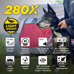 Dogtra 280X remote top button close-up highlighting quick access control.