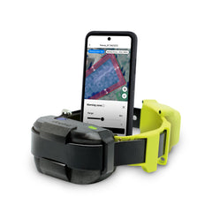 Dogtra GPS Fence collar on a dog during outdoor training for safe freedom