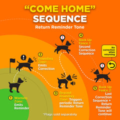 Dogtra GPS Fence return reminder tone guides dog home safely