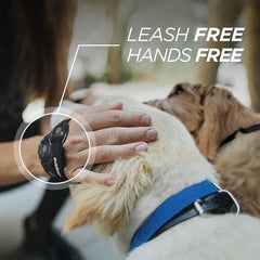 Dogtra HANDSFREE Square pairing with transmitter enables multi-square setups.