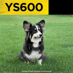 Dogtra YS600 stimulation level buttons illustrating adjustable correction levels for training.