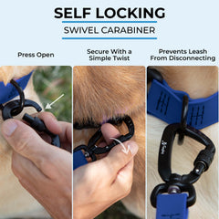 DogTraxs leash at 3-foot length ideal for close-control training