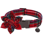 DOGWONG Christmas collar with removable flower for a festive look