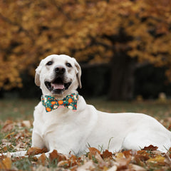 DOGWONG durable alloy buckles ensure quick, secure on-off for busy pet parents