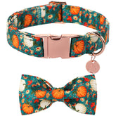 DOGWONG Fall Halloween pet collar with bowtie on a small dog for festive photos