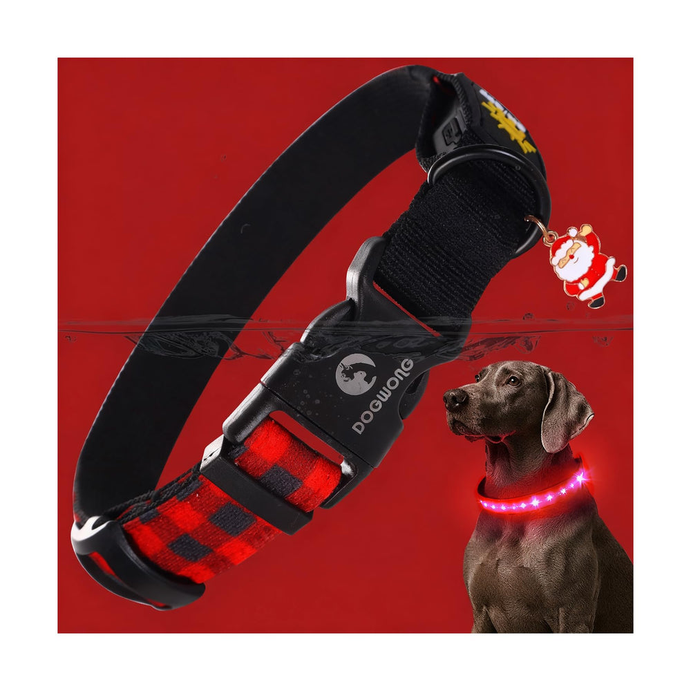 DOGWONG LED Dog Collar red plaid closeup with bright visibility for night walks