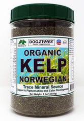 Dogzymes Organic Norwegian Kelp for Pets bottle shows natural mineral supplement for thyroid-supporting nutrition.