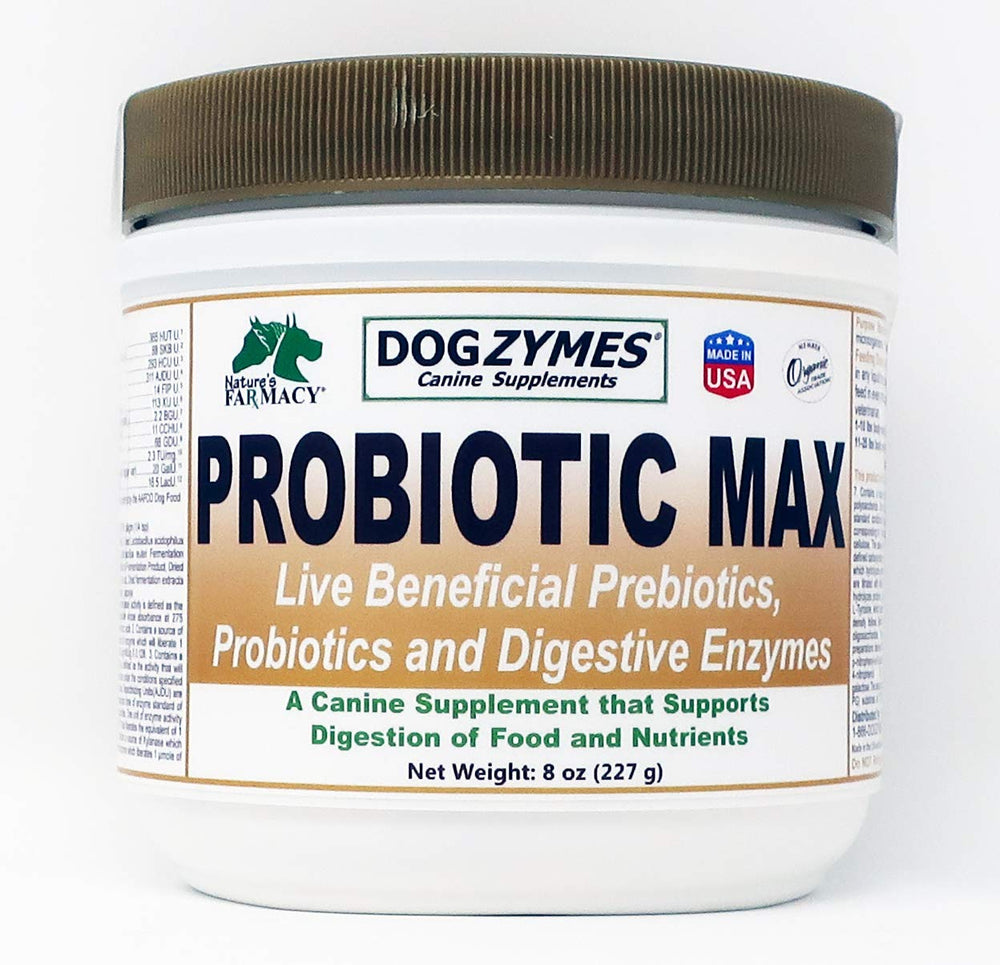 Dogzymes Probiotic Max bottle front supports gut health and digestion