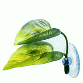 DOIDO Betta Leaf Pad shows double-leaf design for natural cover and resting.