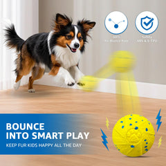 Dolita ball close-up shows bite-resistant TPE for aggressive chewers