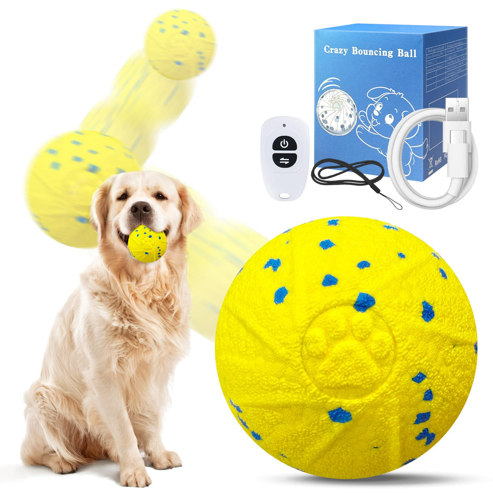 Dolita Interactive Dog Ball with remote for engaging play from afar