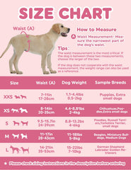 Dono Dog Diapers 3D breathable surface keeps skin comfortable