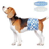 Dono Dog Diapers blue paw pattern for daily wear and quick changes