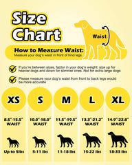 Dono Dog Diapers stretchy-waistband ensures secure, comfortable movement.