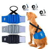 Dono washable belly bands blue front view show secure, leak-resistant fit for dogs