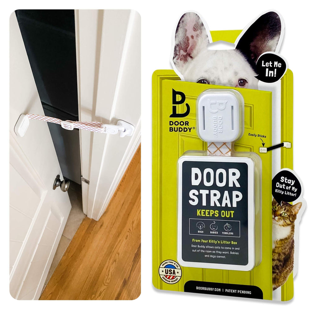 Door Buddy pet door latch for cats on a door enables space-saving cat access.