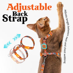 Dooradar cat harness back-strap adjustment demonstrated for a comfortable fit.