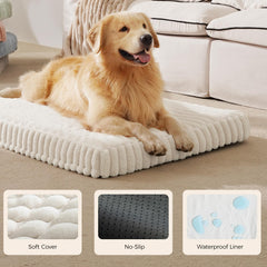 Dopedio cream orthopedic bed on floor, ready for cozy lounging