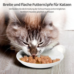 Wide shallow design bowl emphasizes whisker-friendly meals for comfy eating.