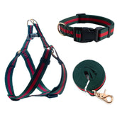 Doryojoy premium dog collar harness leash set for comfortable daily walks and stylish appearance.