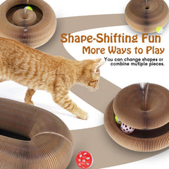 Dosanlues Magic Organ changeable-shapes enable versatile play configurations.