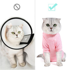 Dotoner recovery suit adjustable-collar close-up highlighting snug fit for kittens and adult cats