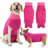 Dotoner dog surgery recovery suit front view shows secure fit for post op comfort