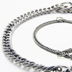 Double-Twist Link Training Choker Collar on leash during urban walk demonstrates steady guidance.