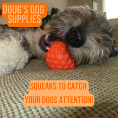 Doug's Honeycomb Squeaky Ball interactive play boosts exercise in the yard