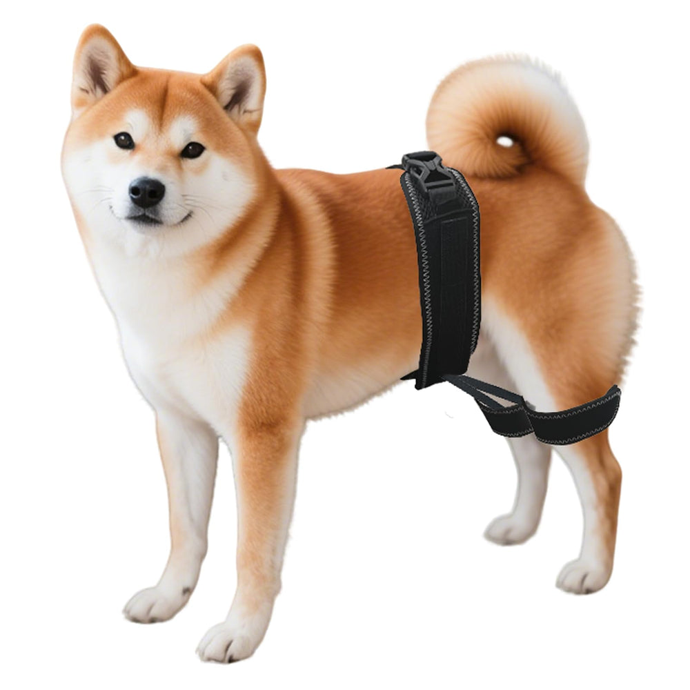 Dovanor dog hip orthotics brace side-view showing stable support during walks