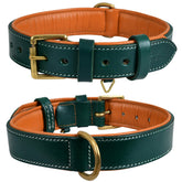 DowgClub genuine leather collar full-grain detail for durable daily adventures