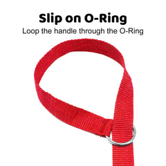 Downtown Pet Supply 6ft slip lead in a salon during routine kenneling