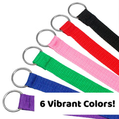 Downtown Pet Supply 6ft kennel slip lead on dog for controlled movement