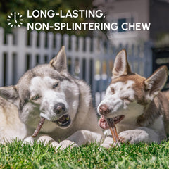Downtown Pet Supply rawhide-free beef chews offer a natural, single-ingredient treat.