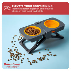 Downtown Pet Supply dual bowls dishwasher safe for quick cleanup after meals