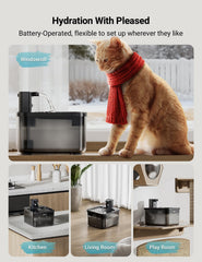 DownyPaws battery section highlights rechargeable power for days