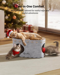 DownyPaws PeekaPurr multi-level design encourages safe group play and observation.