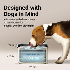 DownyPaws stainless steel bowl is rust-resistant and easy to clean