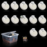 DQITJ silk cocoons with magnets packaged for easy spider habitat setup
