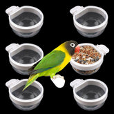 DQITJ 6-pack bird feeder pack for bulk refills and tidy feeding.