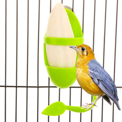 DQITJ cuttlebone holder on cage demonstrates secure screw fixation for stable feeding