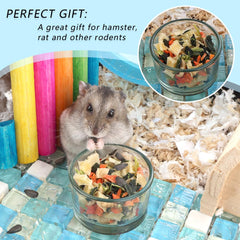 DQITJ glass food and water bowl for small pets supports dual use.