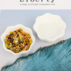 DQITJ small-pets dry-food use shown with clean white ceramic bowl.