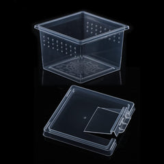 DQITJ terrarium 10-pack closeup with clear acrylic for easy inspection