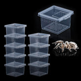 DQITJ terrarium 10-pack top view shows compact acrylic housing for small invertebrates