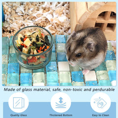 DQITJ transparent glass hamster bowls provide easy content monitoring.