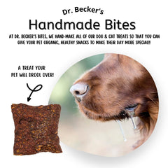 Dr. Becker's Original Beef Bites single-ingredient formula showcased for pets.